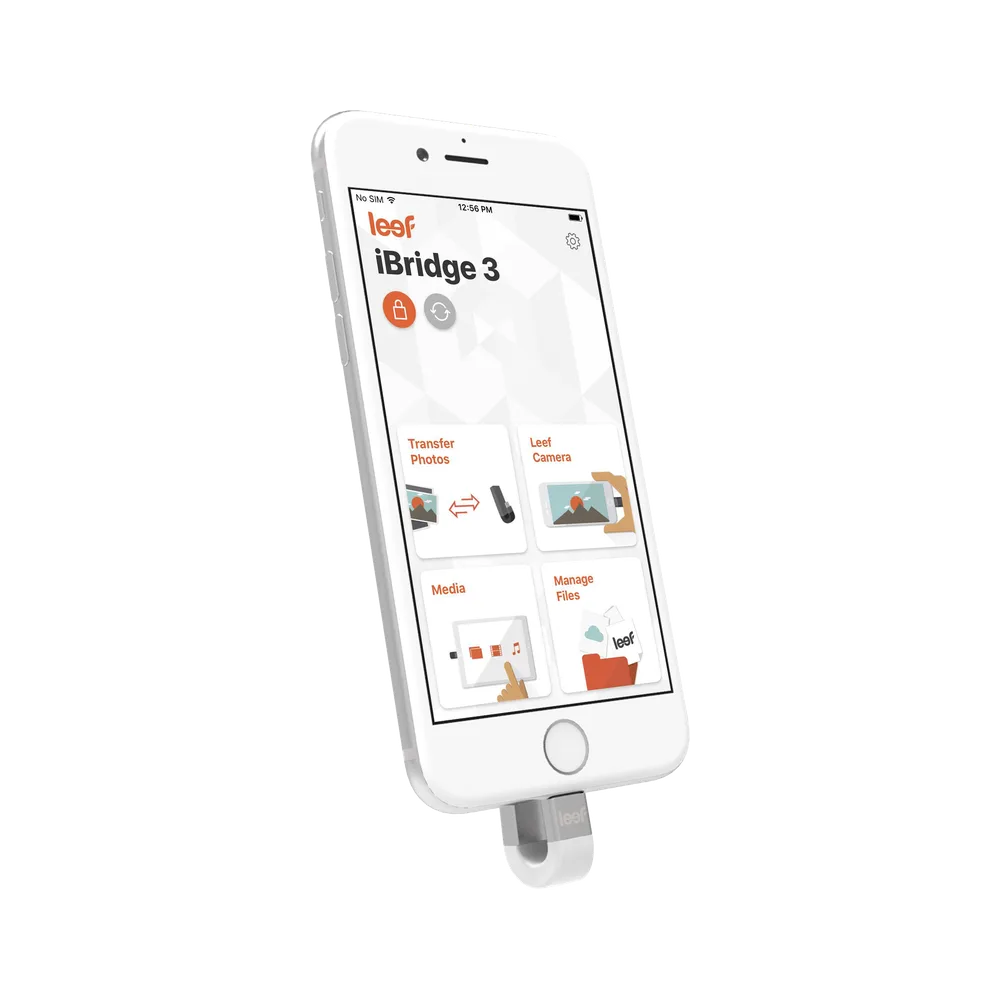iBridge with Silver iPhone product example